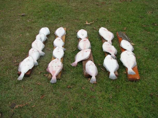 Things To Do BOB'S BAIT AND TACKLE